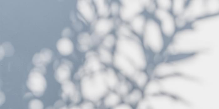 Concept コンセプト